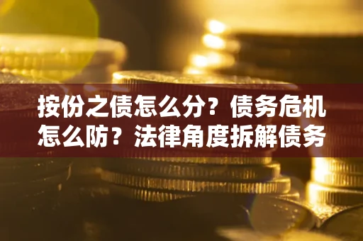 武汉按份之债怎么分？债务危机怎么防？法律角度拆解债务分配与风险自保指南