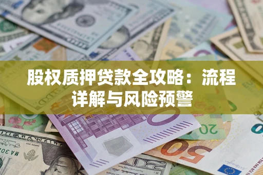 武汉股权质押贷款全攻略：流程详解与风险预警
