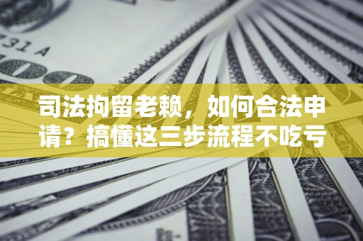 武汉司法拘留老赖，如何合法申请？搞懂这三步流程不吃亏！