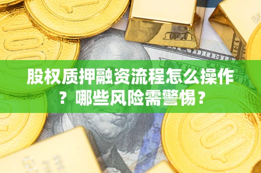 武汉股权质押融资流程怎么操作？哪些风险需警惕？