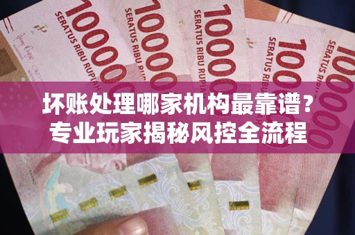 武汉坏账处理哪家机构最靠谱？专业玩家揭秘风控全流程