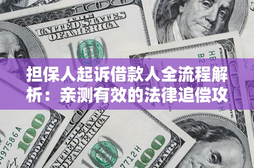武汉担保人起诉借款人全流程解析：亲测有效的法律追偿攻略