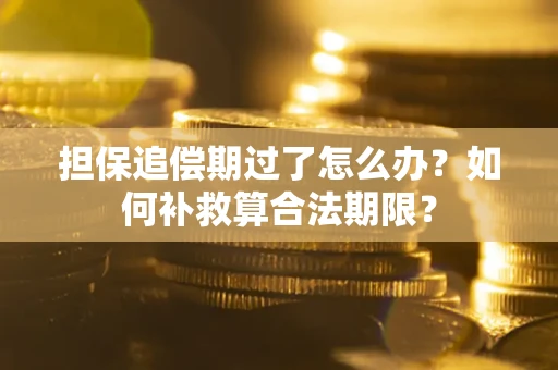 武汉担保追偿期过了怎么办？如何补救算合法期限？