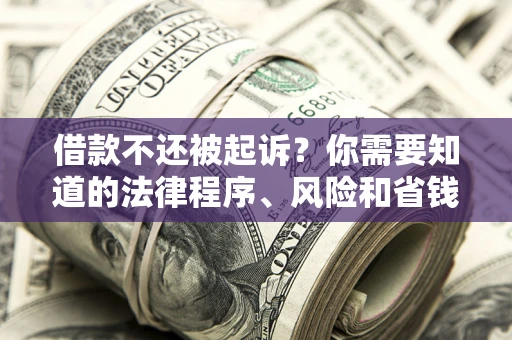 武汉借款不还被起诉？你需要知道的法律程序、风险和省钱技巧