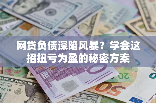 武汉网贷负债深陷风暴？学会这招扭亏为盈的秘密方案